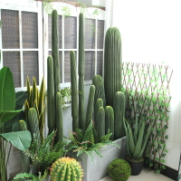 仿真量天尺仙人柱無刺假仙人掌大型擺件沙漠綠色植物櫥窗造景設計