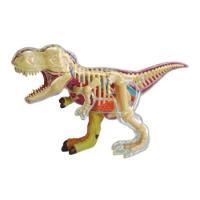 Authentic 4D Master Dinosaur Anatomy Assembly Model Q Edition Simulation Animal Educational Toy