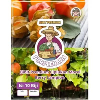 Bibit Premium Ciplukan Morel Berry Lampion | Biji Ciplukan Morel Berry | Benih Ciplukan Morel Berry 