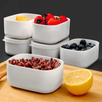Mini Crisper Refrigerator Food Grade Material PP Plastic Case Food Container Leakproof Kitchen Seal Box Freezer Microwave 280m