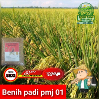 Benih Bibit Padi PMJ 01 Kemasan 5 Kg Wijen Daun Tanaman