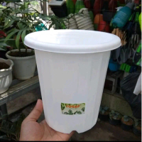 Pot Yogap Plastik Bunga (Ag Calatea Medalion)