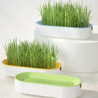 1PC (Without Seeds) Cat Grass Planting Box, Planting Hydroponics Box, Garden Seed Sprouter Tray, Seed Sprouting Trays Set.