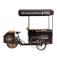 Mobile Street Electric Food Carts Freezer Bikes Frozen Bicycle Food Bike Ice Cream Snack Trucks Beverage Kiosks with Carports