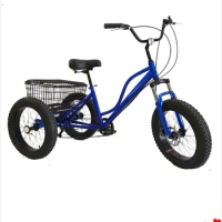 2023 Hot Sale Adult Tricycle for Sale 3 Wheel Bike