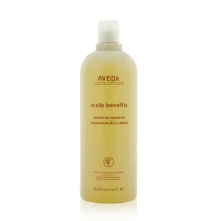 Aveda 滋養平衡 洗髮露 (健康秀髮基礎) 1000ml/33.8oz