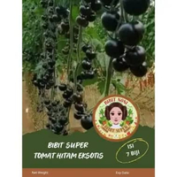 Bibit Super Tomat Hitam Eksotis | Biji Benih Tomat Hitam