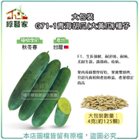 【綠藝家】大包裝G71-1青海胡瓜(大黃瓜)種子4克(約125顆)