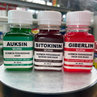 PAKET SITOKININ AUKSIN GIBERLIN Hormon pertumbuhan