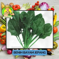 Benih Sayuran Bayam Benih Sayuran Bayam Jepang
