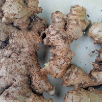 jahe emprit segar 1kg