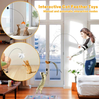 {DLGIFJIE} Cat Feather Toys Teaser Feather Wand Interactive Toys Cat Toys With Super Suction Cup Rem