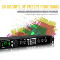 Professional Digital Reverb and Multi Effect DSP Processor Audio Processor Equalizer Vocal Microphone GAX-4II