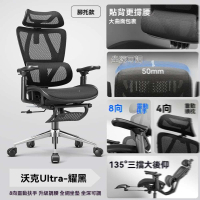 【w永藝旗艦店】8向扶手 全網坐墊 腳托款(電競椅 人體工學椅 電腦椅 辦公椅 撐腰椅 靠背椅 預購15天)