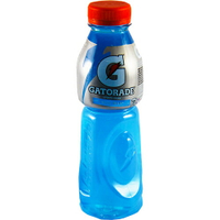 GATORADE開特力 運動飲料-500ml/瓶(藍色閃電-即期2019.4.11) [大買家]