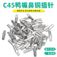 C45鴨嘴型插針 線鼻子銅接頭針型冷壓端子紫銅鍍錫4/6/10-95平方