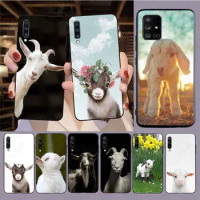 soft Coque baby goat Phone Cover For samsung Galaxy A53 A52S A13 A14 A21S A22 A23 A24 A32 A33 A34 A40 A50 A51 A71 A73 case