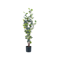 【dayneeds 日需百備】仿真草植-綠植栽系列/翠綠風華 圓葉尤加利(室內植物/懶人盆栽/室內盆栽/落地植栽)