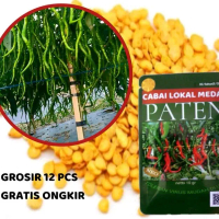 Paket 12 Bungkus Bibit Cabe Paten Lokal Medan