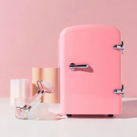 4L12V Custom factory cosmetic makeup skincare beauty mini portable fridge small refrigerators with mirror