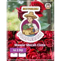 Bibit Premium Bunga Mawar Merah Cinta | Benih Bunga Mawar Merah