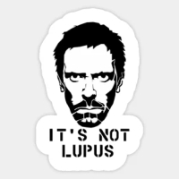 It Not Lupus 5PCS Stickers for Cute Car Decorations Wall Room Art Water Bottles Kid Window Living Room Anime Luggage Funny Home