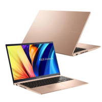 【ASUS 華碩】特仕版 15.6吋效能筆電(X1502VA-0191C13420H/i5-13420H/8G+16G/改1TB SSD/Win11)