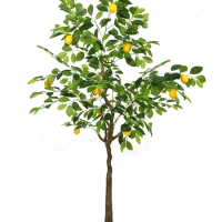 Emulational Greenery Bonsai Orange Tree Interior Decoration Simulated Plants Bonsai Nordic Floor Lemon Tree
