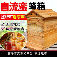 自流蜜蜂箱全套杉木煮蠟自動流蜂蜜裝置養蜂專用標準箱蜜蜂用具