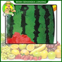Benih Buah Buahan Semangka Strawberi Melon Labu Benih Bibit Murah Berkualitas Semangka Lonjong