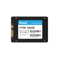 【BIWIN】佰維 M100 256GB SATA 固態硬碟