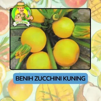 Benih Buah Buahan Bibit Biji Tanaman Organik Zucchini Kuning