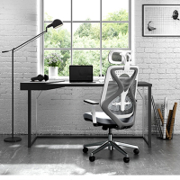 Hyman PluS+ 工學智慧雙腰托雙曲線設計人體工學椅電腦椅辦公椅(耐重鋁合金椅腳 書桌椅 主管椅 簽)