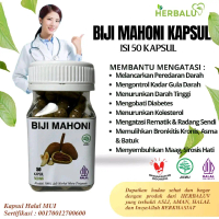 Kapsul Biji Mahoni Original 100% Herbal Isi 50kapsul