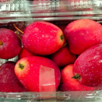 fresh fruit buah Apple candy 500gr apel