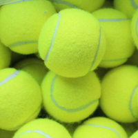 硬式網球 練習網球 台灣製 (空白)/一個入(定40) 硬式練習網球 壁球 毛毛球 MIT製-偉DFSTP-01