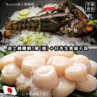 【海肉管家】加拿大波士頓螯龍蝦(400~500g/隻)▲送日本生食級干貝
