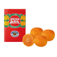 日本愛知 溫室蜜柑禮盒