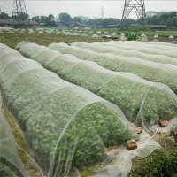 家庭種植白色透氣防蟲網尼龍網有機蔬菜花卉之物理防蟲密度40目