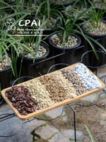 蘭花專用植料種蘭花專用營養土蘭君子蘭種植大顆粒松樹皮松鱗