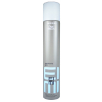 WELLA 威娜 卓冠公司貨 定格噴霧300ml