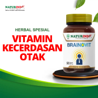 Nutrisi otak BRAINOVIT Naturindo