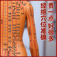 穴位模型 【好評率超99%同款】針灸人體穴位人體模型模型中醫十二經絡全身銅人扎針按摩練習小皮