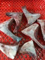 Rahang Ikan Tuna 1kg 26rb/ikan tuna/rahangnya ikan tuna/seafood/ikan laut