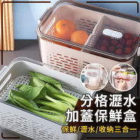 【OKAWA】日式分隔瀝水加蓋保鮮盒中款2入組(保鮮盒 瀝水籃 蔬果籃 收納保鮮盒)
