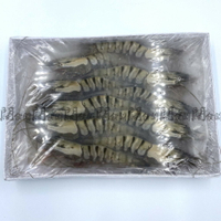 【闊佬闆-海鮮達人】 現貨 活凍草蝦 10P 280g 馬來西亞 草蝦