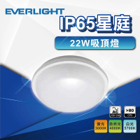 【Everlight 億光】22W IP65 星庭防水吸頂燈 LED吸頂燈(白光 黃光 走道燈 樓梯燈 玄關燈)