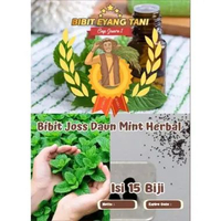 Bibit Joss Daun Mint Herbal | Bibit Daun Mint