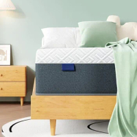 10 Inch Green Tea Memory Foam Mattress in a Box Medium Firm Queen Size Mattress for Cool Sleep &amp; Pressure Relief Bed Mattresses