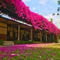 住宿 嘉義竹崎白樹腳驛棧萬坪生態包棟烤肉親子民宿 復金村